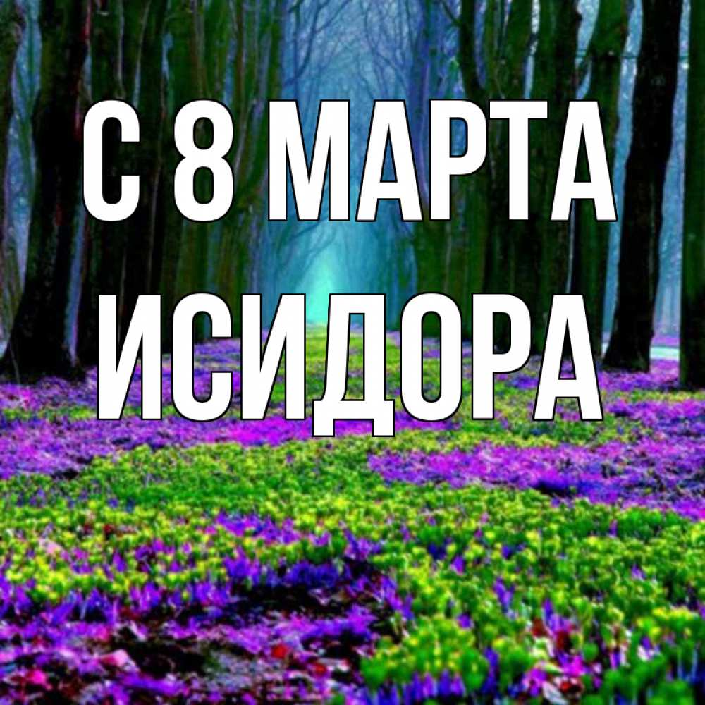 Открытка на каждый день с именем, Исидора С 8 МАРТА фиолетовые цветы в лесу 1 Прикольная открытка с пожеланием онлайн скачать бесплатно 