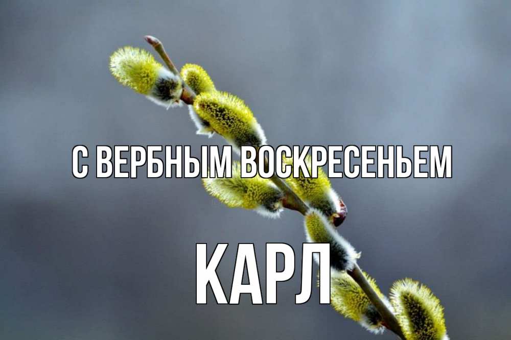 Открытка на каждый день с именем, Карл С вербным воскресеньем верба Прикольная открытка с пожеланием онлайн скачать бесплатно 