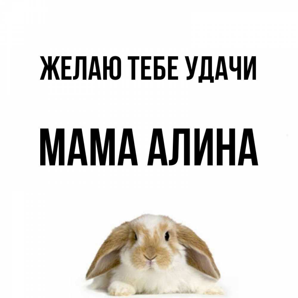 Открытка на каждый день с именем, Мама-Алина Желаю тебе удачи открытки с произвольным текстом который можно вставить в открытку и создать ее самостоятельно бесплатно онлайн Прикольная открытка с пожеланием онлайн скачать бесплатно 