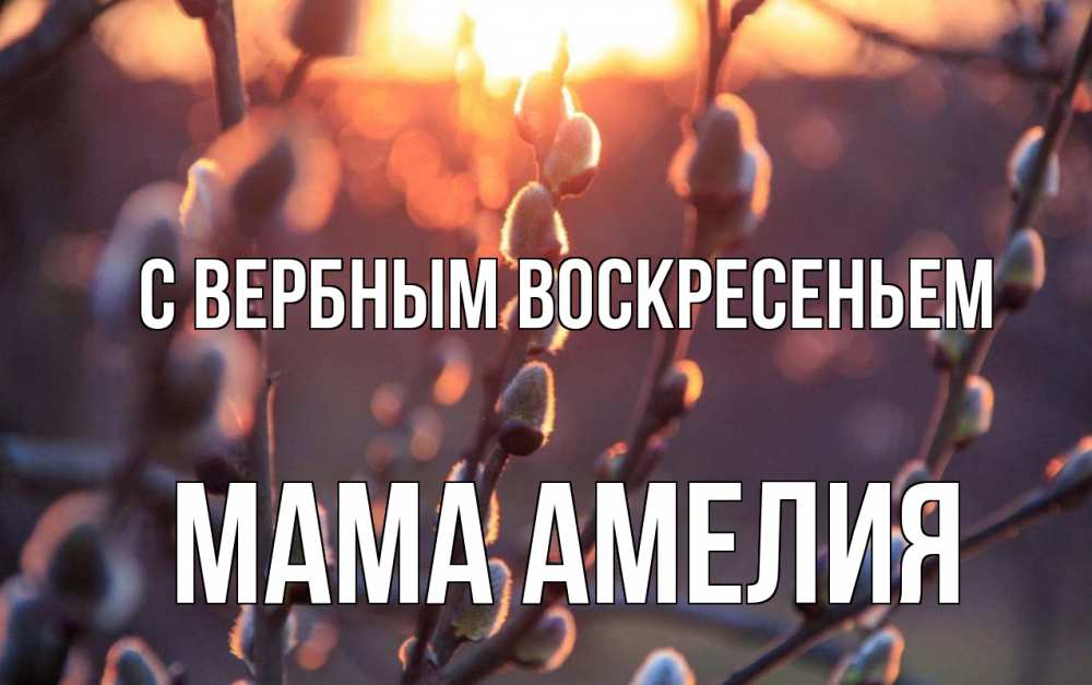 Открытка на каждый день с именем, Мама-Амелия С вербным воскресеньем верба Прикольная открытка с пожеланием онлайн скачать бесплатно 