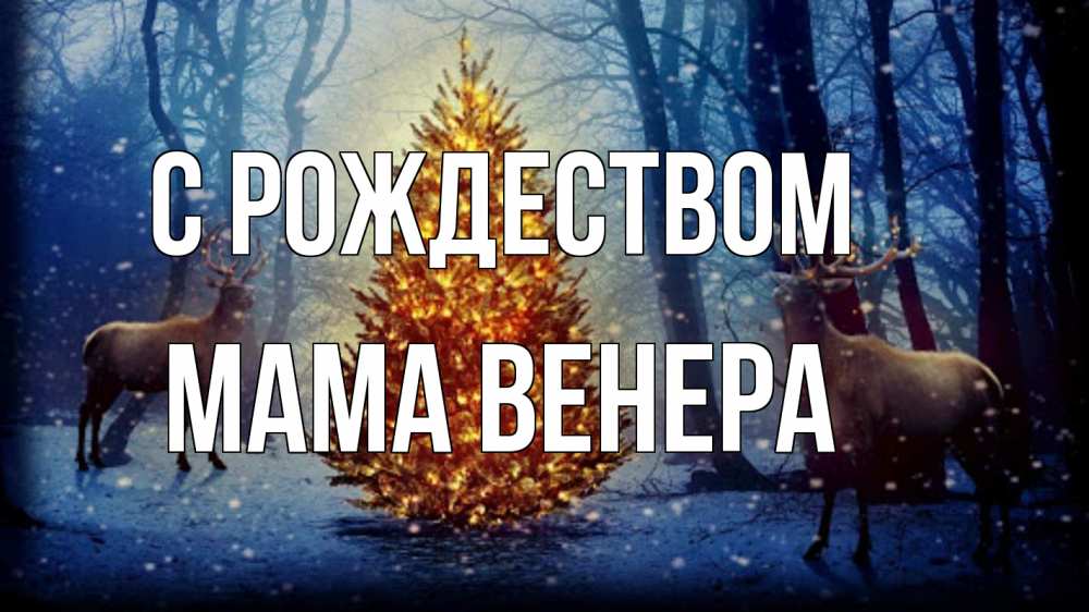 Открытка на каждый день с именем, Мама-Венера С рождеством олени, новогодняя елка Прикольная открытка с пожеланием онлайн скачать бесплатно 
