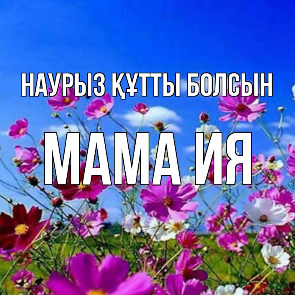 Открытка на каждый день с именем, Мама-Ия Наурыз құтты болсын цветы Прикольная открытка с пожеланием онлайн скачать бесплатно 