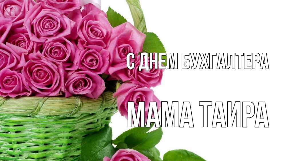 Открытка на каждый день с именем, Мама-Таира С днем бухгалтера с днем бухгалтера Прикольная открытка с пожеланием онлайн скачать бесплатно 