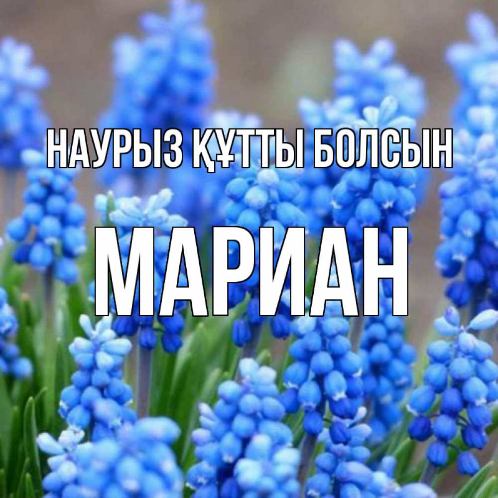Открытка на каждый день с именем, Мариан Наурыз құтты болсын Поздравительная открытка для женщин с цветами на праздничную дату Прикольная открытка с пожеланием онлайн скачать бесплатно 
