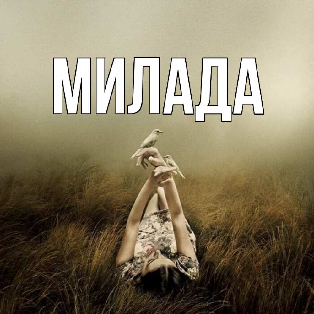 Открытка на каждый день с именем, Милада Главная поле и туман Прикольная открытка с пожеланием онлайн скачать бесплатно 