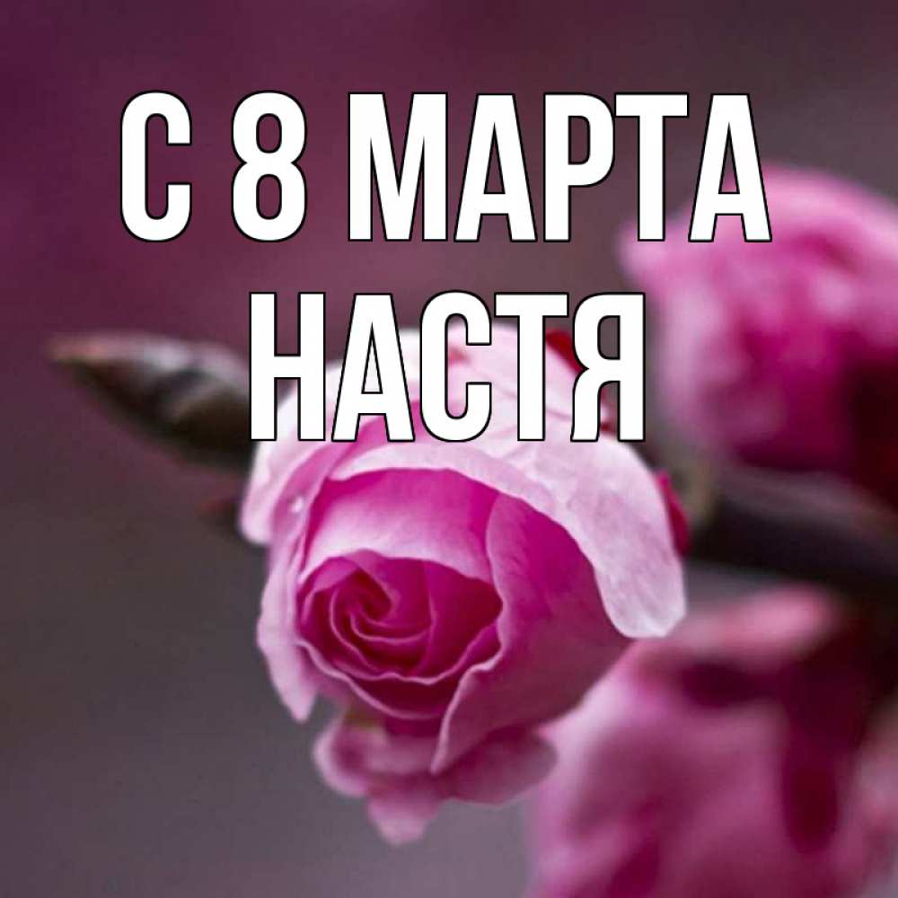 Открытка на каждый день с именем, Настя С 8 марта весна Прикольная открытка с пожеланием онлайн скачать бесплатно 