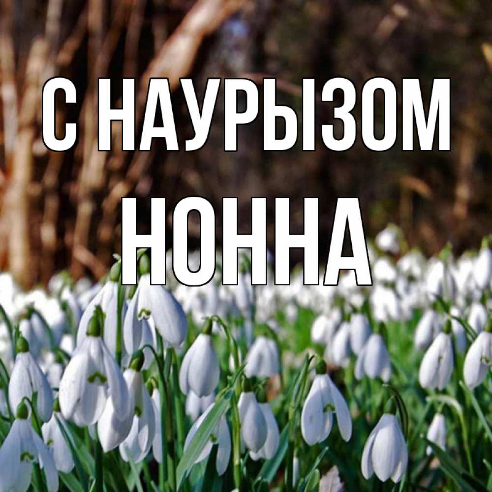 Открытка на каждый день с именем, Нонна С наурызом с подснежниками 1 Прикольная открытка с пожеланием онлайн скачать бесплатно 