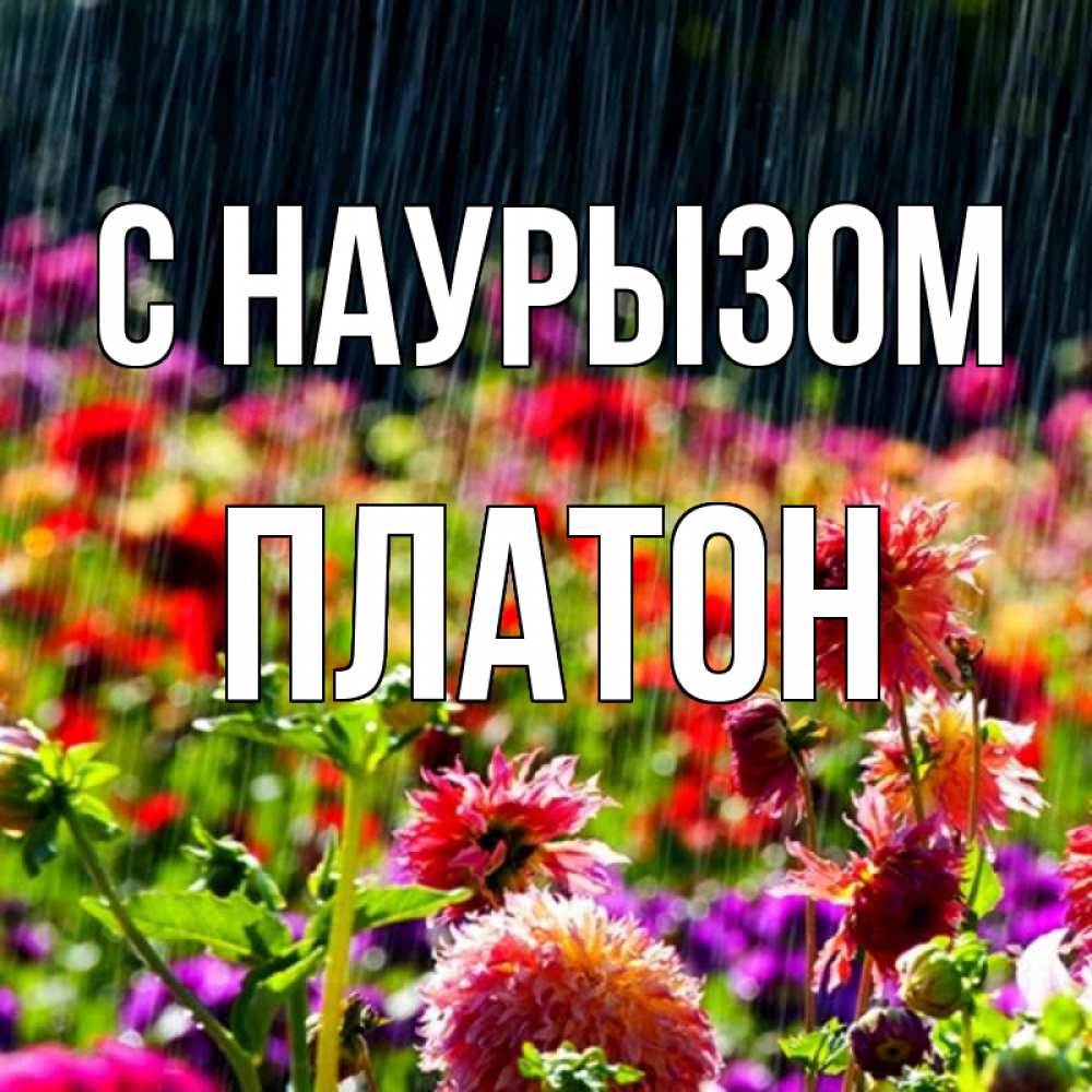 Открытка на каждый день с именем, Платон С наурызом цветы под дождиком к международному женскому дню Прикольная открытка с пожеланием онлайн скачать бесплатно 