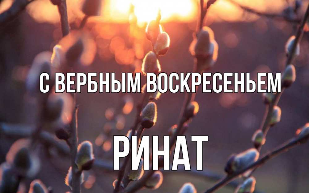 Открытка на каждый день с именем, Ринат С вербным воскресеньем верба Прикольная открытка с пожеланием онлайн скачать бесплатно 