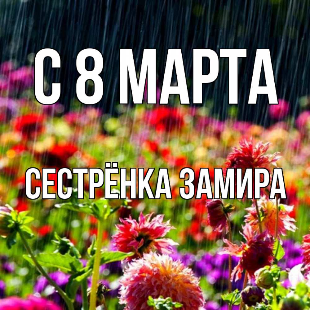 Открытка на каждый день с именем, Сестрёнка-Замира С 8 МАРТА цветы под дождиком к международному женскому дню Прикольная открытка с пожеланием онлайн скачать бесплатно 