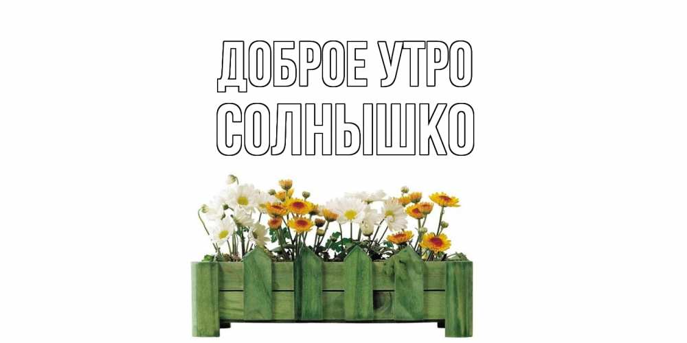 Открытка на каждый день с именем, Солнышко Доброе утро цветы Прикольная открытка с пожеланием онлайн скачать бесплатно 