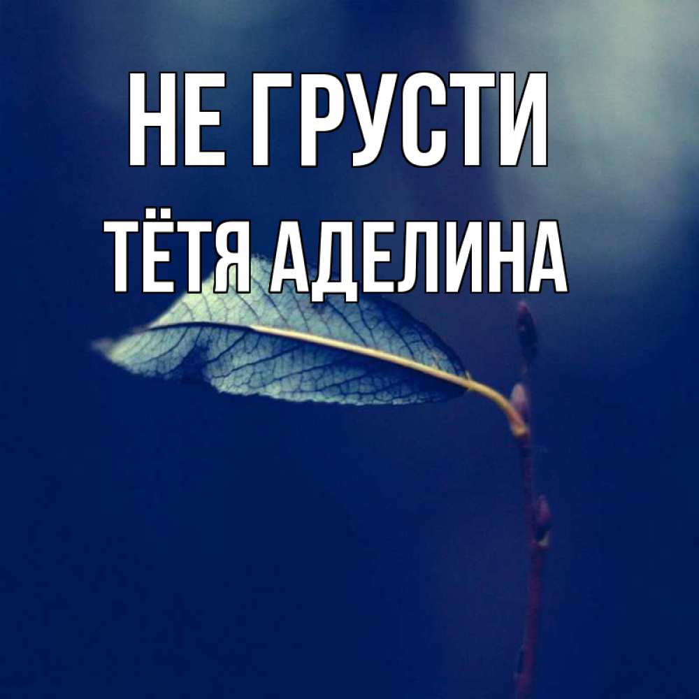 Открытка на каждый день с именем, Тётя-Аделина Не грусти растение Прикольная открытка с пожеланием онлайн скачать бесплатно 