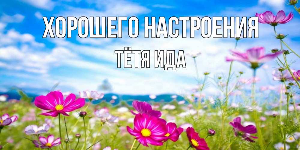 Открытка на каждый день с именем, Тётя-Ида Хорошего настроения поле цветов Прикольная открытка с пожеланием онлайн скачать бесплатно 