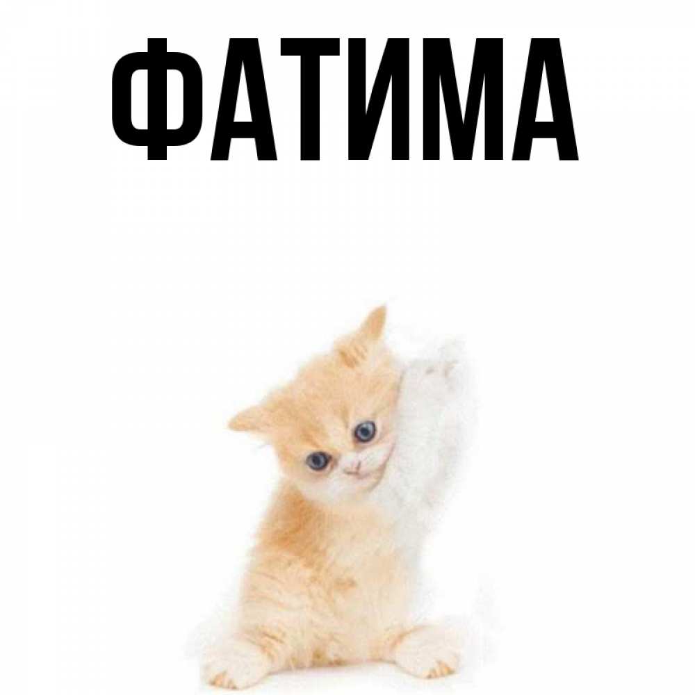 Открытка на каждый день с именем, Фатима Главная зверушки и милота Прикольная открытка с пожеланием онлайн скачать бесплатно 