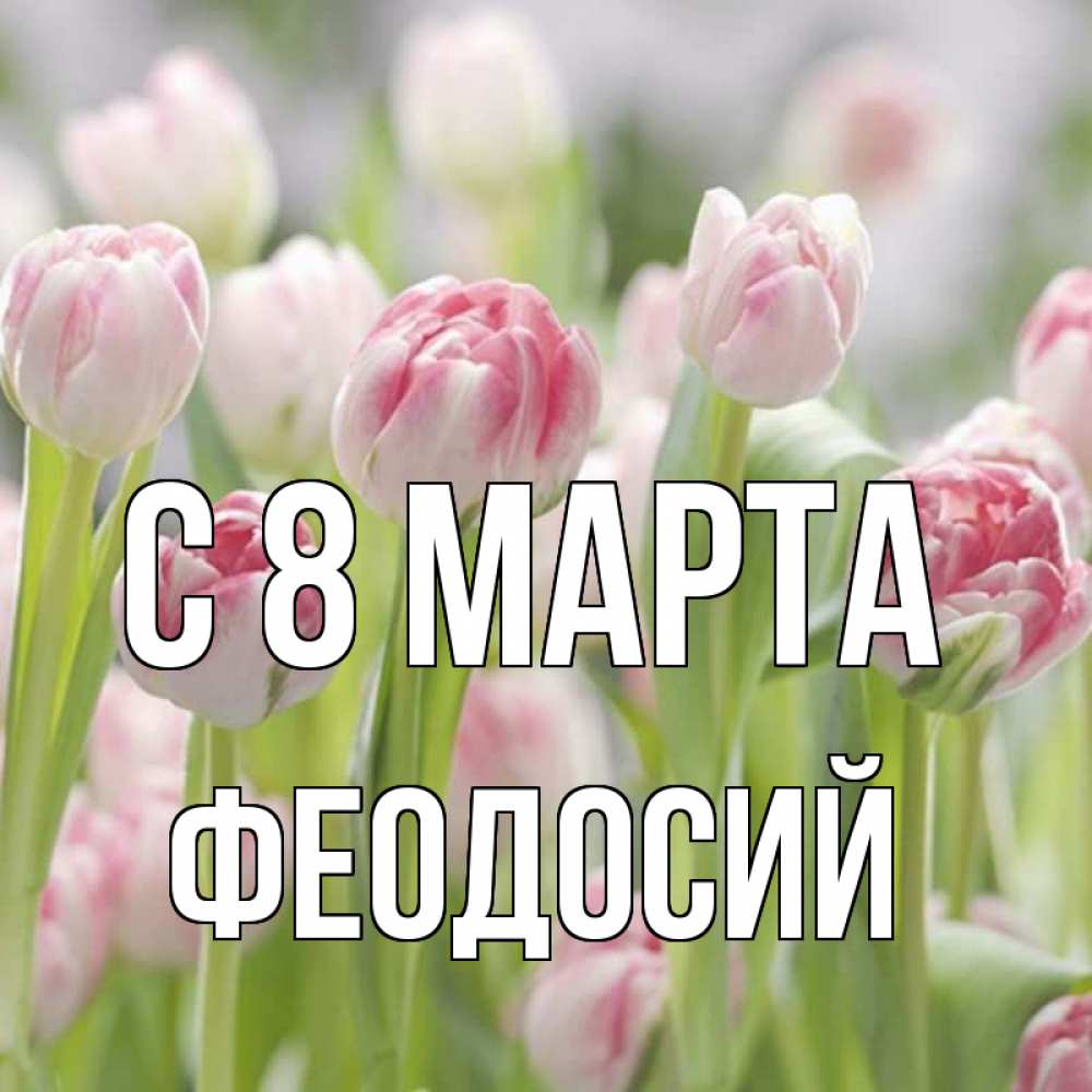 Открытка на каждый день с именем, Феодосий С 8 МАРТА цветы Прикольная открытка с пожеланием онлайн скачать бесплатно 