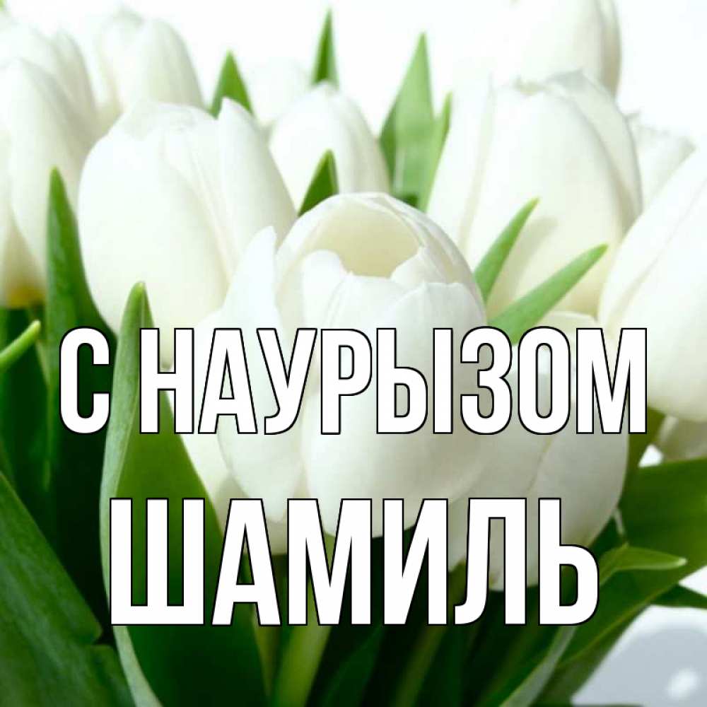 Открытка на каждый день с именем, Шамиль С наурызом цветы Прикольная открытка с пожеланием онлайн скачать бесплатно 