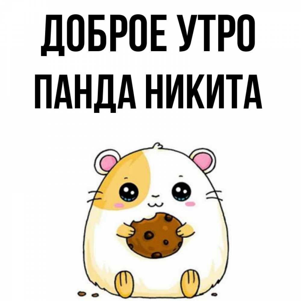 Открытка на каждый день с именем, панда-Никита Доброе утро есть печеньку. Утречко Прикольная открытка с пожеланием онлайн скачать бесплатно 
