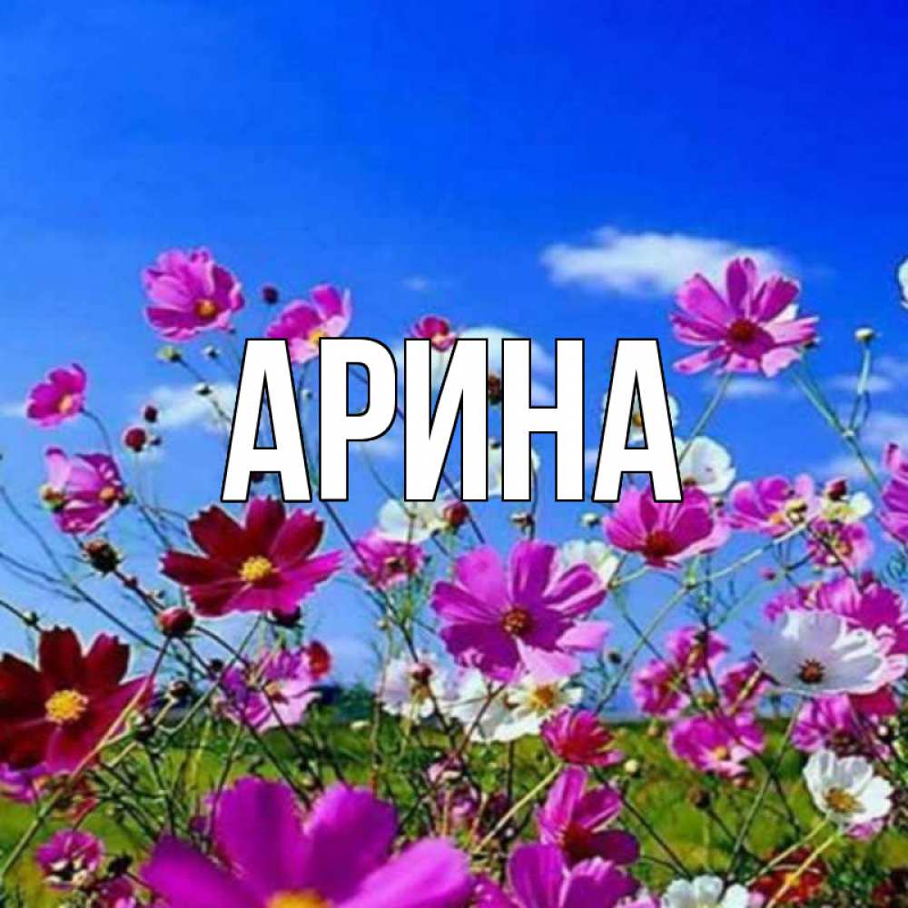 Открытка на каждый день с именем, Арина Главная цветы Прикольная открытка с пожеланием онлайн скачать бесплатно 
