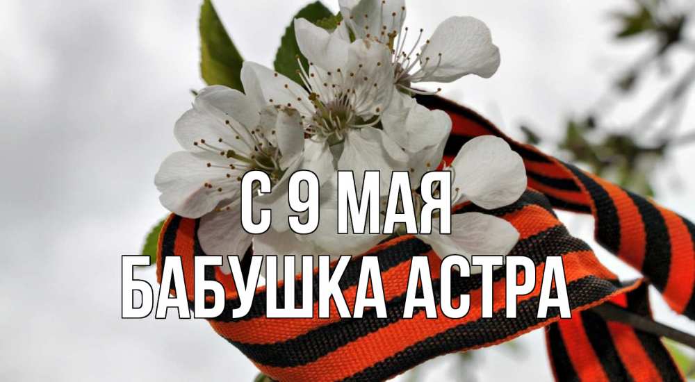 Открытка на каждый день с именем, Бабушка-Астра С 9 мая 9 мая Прикольная открытка с пожеланием онлайн скачать бесплатно 