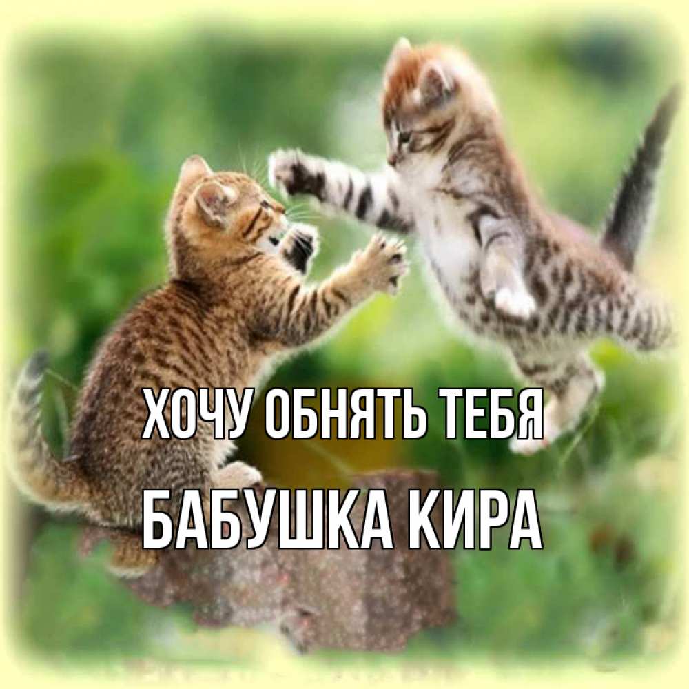 Открытка на каждый день с именем, Бабушка-Кира Хочу обнять тебя игры котят Прикольная открытка с пожеланием онлайн скачать бесплатно 