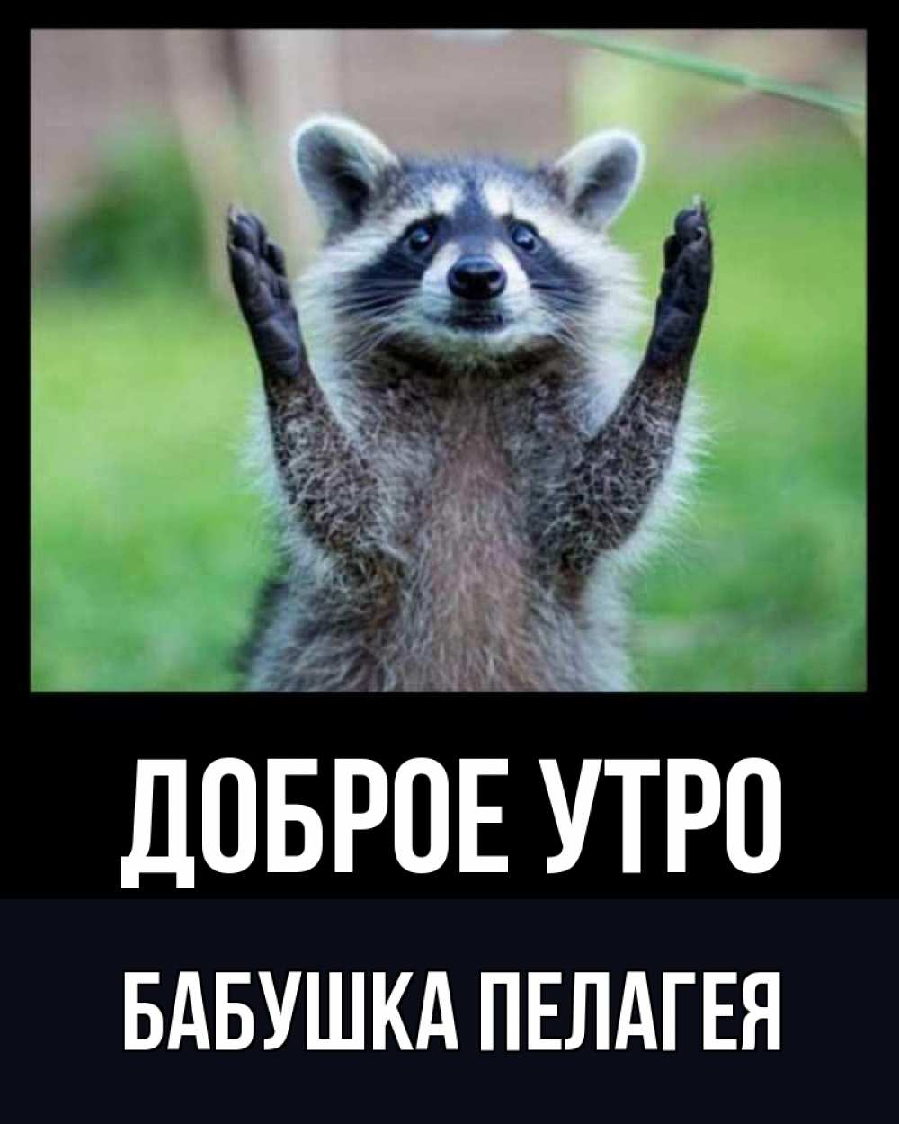 Открытка на каждый день с именем, Бабушка-Пелагея Доброе утро хорошее настроение утречком Прикольная открытка с пожеланием онлайн скачать бесплатно 