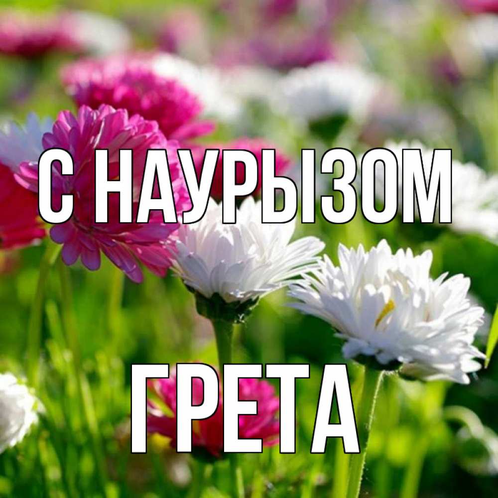 Открытка на каждый день с именем, Грета С наурызом праздник весны наурыз красота Прикольная открытка с пожеланием онлайн скачать бесплатно 