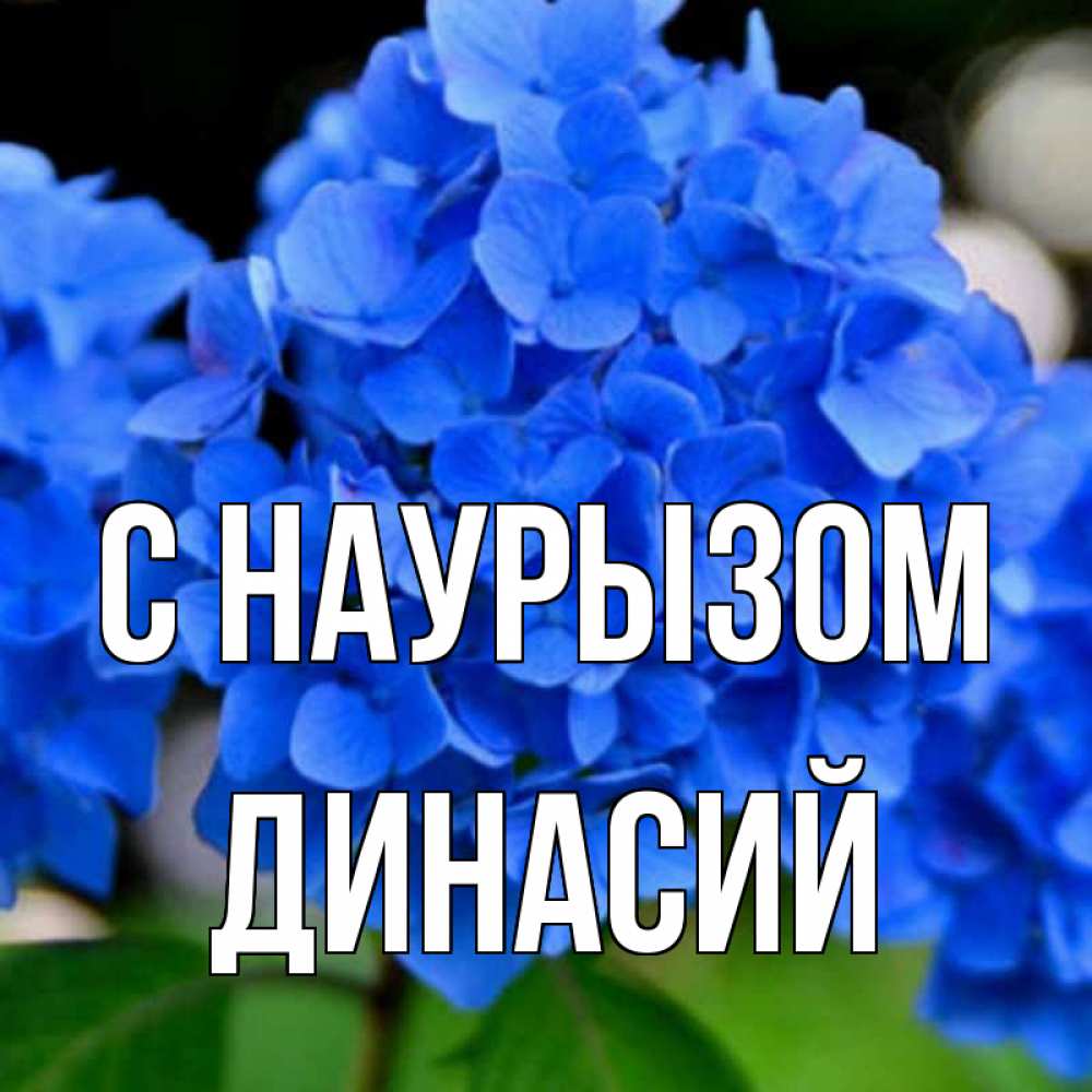 Открытка на каждый день с именем, Динасий С наурызом синие цветы Прикольная открытка с пожеланием онлайн скачать бесплатно 