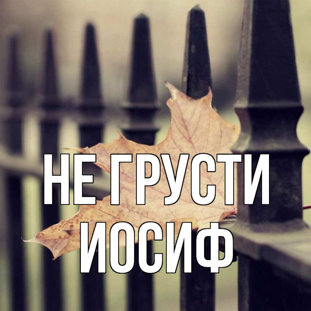 Открытка на каждый день с именем, Иосиф Не грусти лист клена Прикольная открытка с пожеланием онлайн скачать бесплатно 