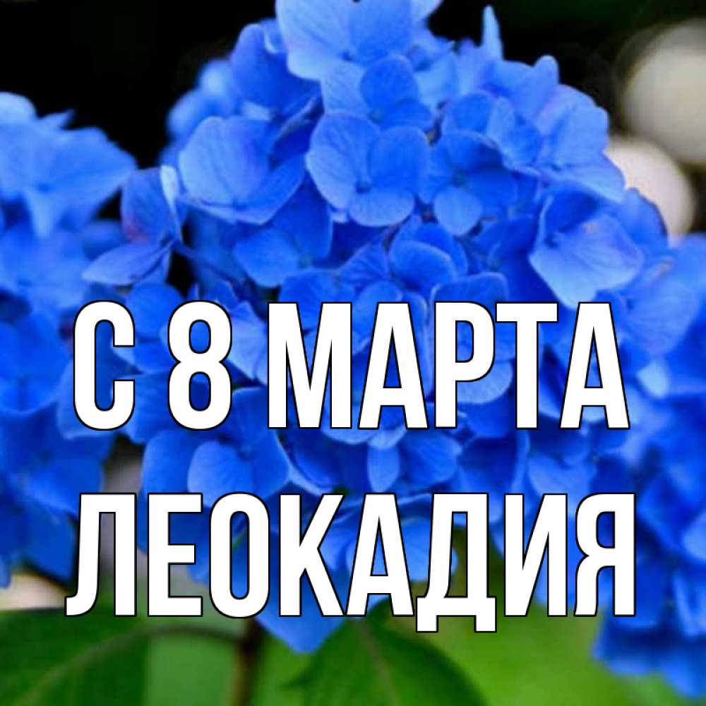 Открытка на каждый день с именем, Леокадия С 8 марта синие цветы Прикольная открытка с пожеланием онлайн скачать бесплатно 