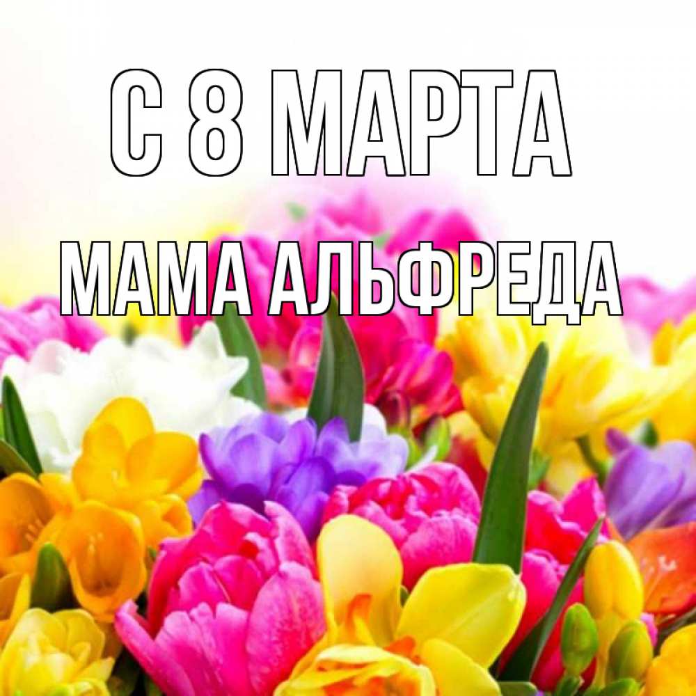 Открытка на каждый день с именем, Мама-Альфреда С 8 МАРТА тюльпаны Прикольная открытка с пожеланием онлайн скачать бесплатно 