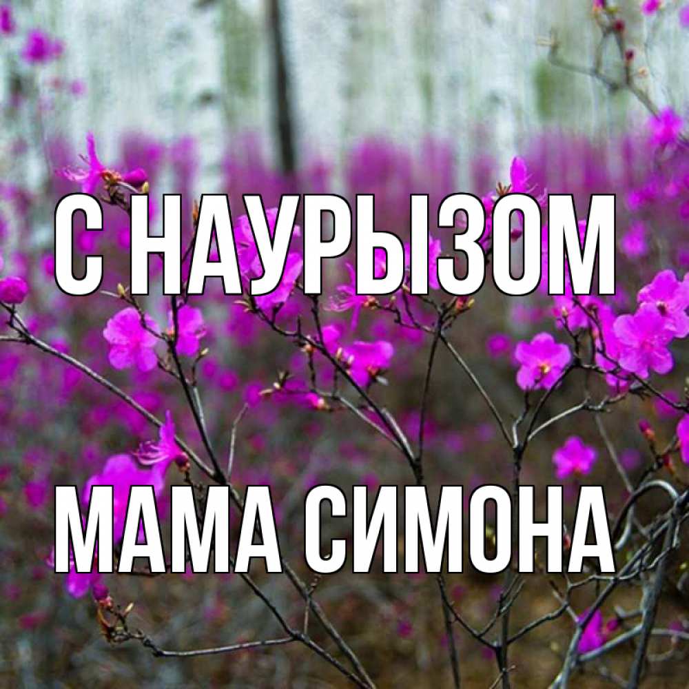 Открытка на каждый день с именем, Мама-Симона С наурызом дикие цветы Прикольная открытка с пожеланием онлайн скачать бесплатно 