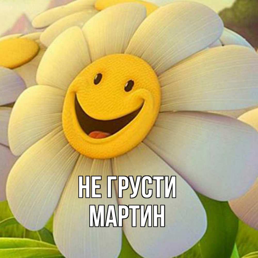 Открытка на каждый день с именем, Мартин Не грусти огромная улыбающаяся ромашуща Прикольная открытка с пожеланием онлайн скачать бесплатно 