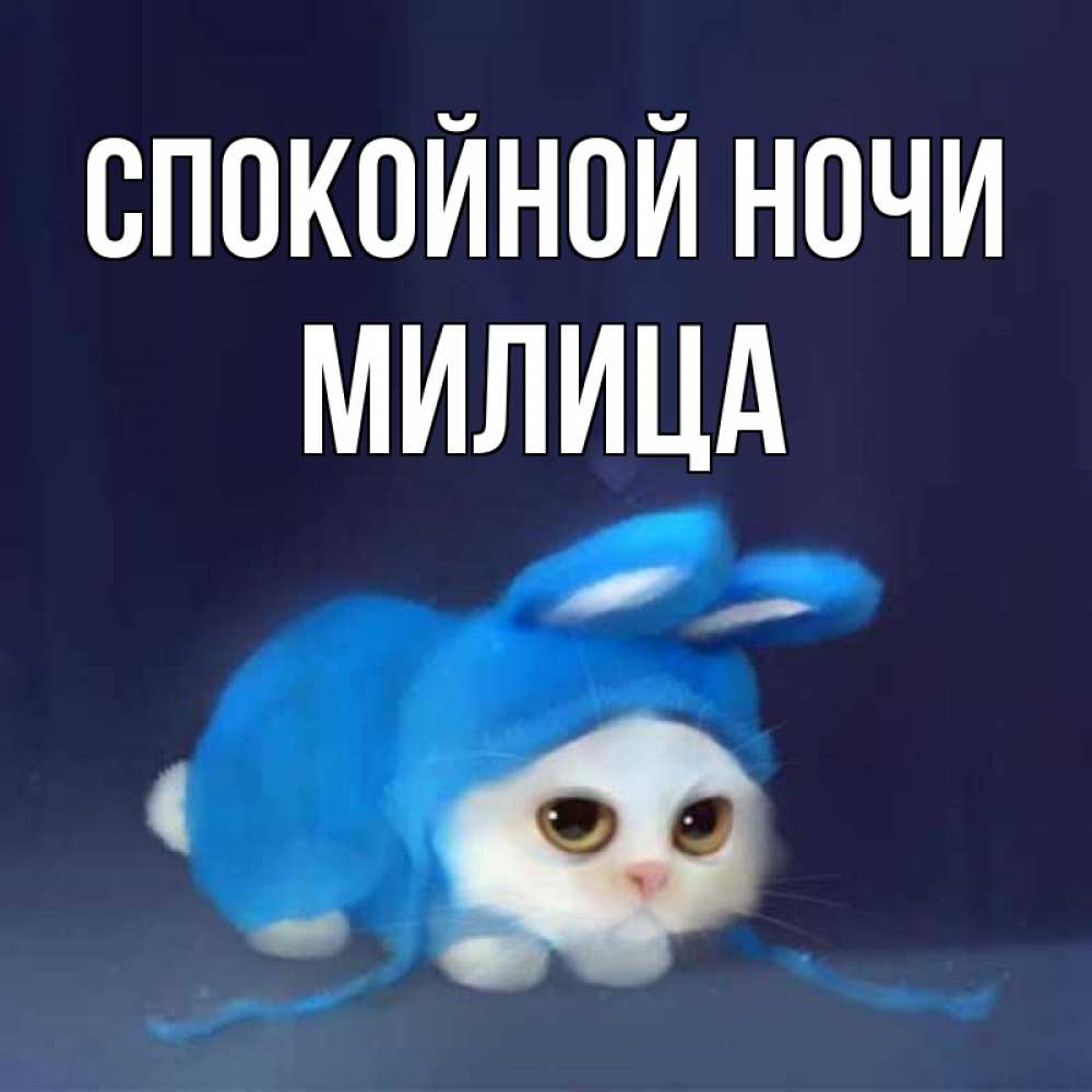 Открытка на каждый день с именем, Милица Спокойной ночи кот в голубом костюме кролика с ушками Прикольная открытка с пожеланием онлайн скачать бесплатно 