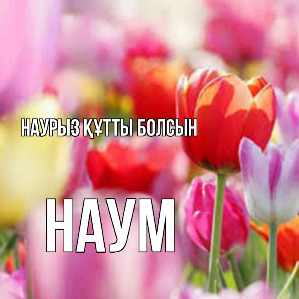 Открытка на каждый день с именем, Наум Наурыз құтты болсын на наурыз  2 Прикольная открытка с пожеланием онлайн скачать бесплатно 
