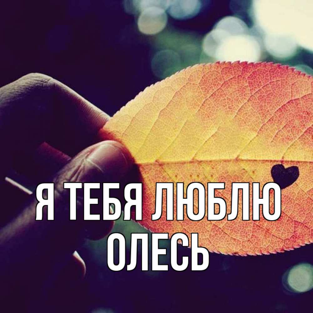 Открытка на каждый день с именем, Олесь Я тебя люблю держу лист Прикольная открытка с пожеланием онлайн скачать бесплатно 