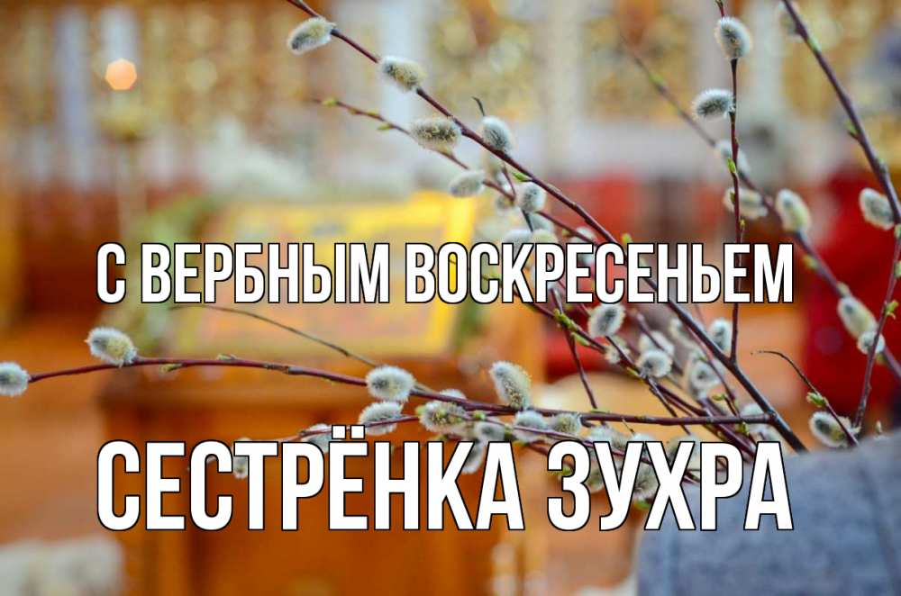 Открытка на каждый день с именем, Сестрёнка-Зухра С вербным воскресеньем верба Прикольная открытка с пожеланием онлайн скачать бесплатно 