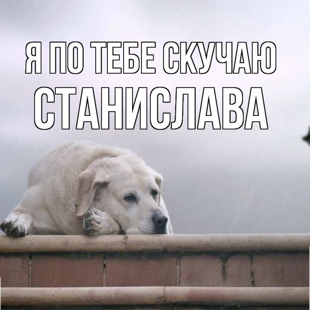 Открытка на каждый день с именем, Станислава Я по тебе скучаю ждет Прикольная открытка с пожеланием онлайн скачать бесплатно 