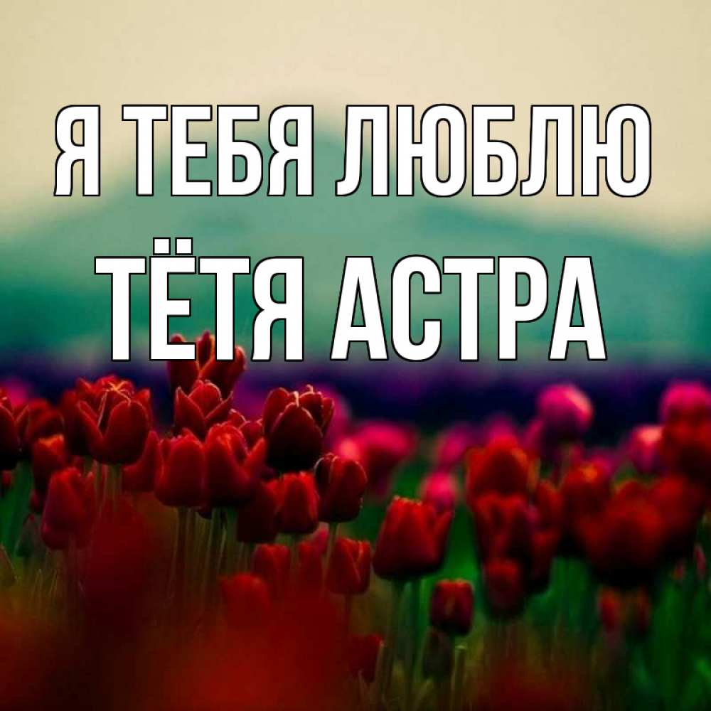 Открытка на каждый день с именем, Тётя-Астра Я тебя люблю тюльпаны 4 Прикольная открытка с пожеланием онлайн скачать бесплатно 