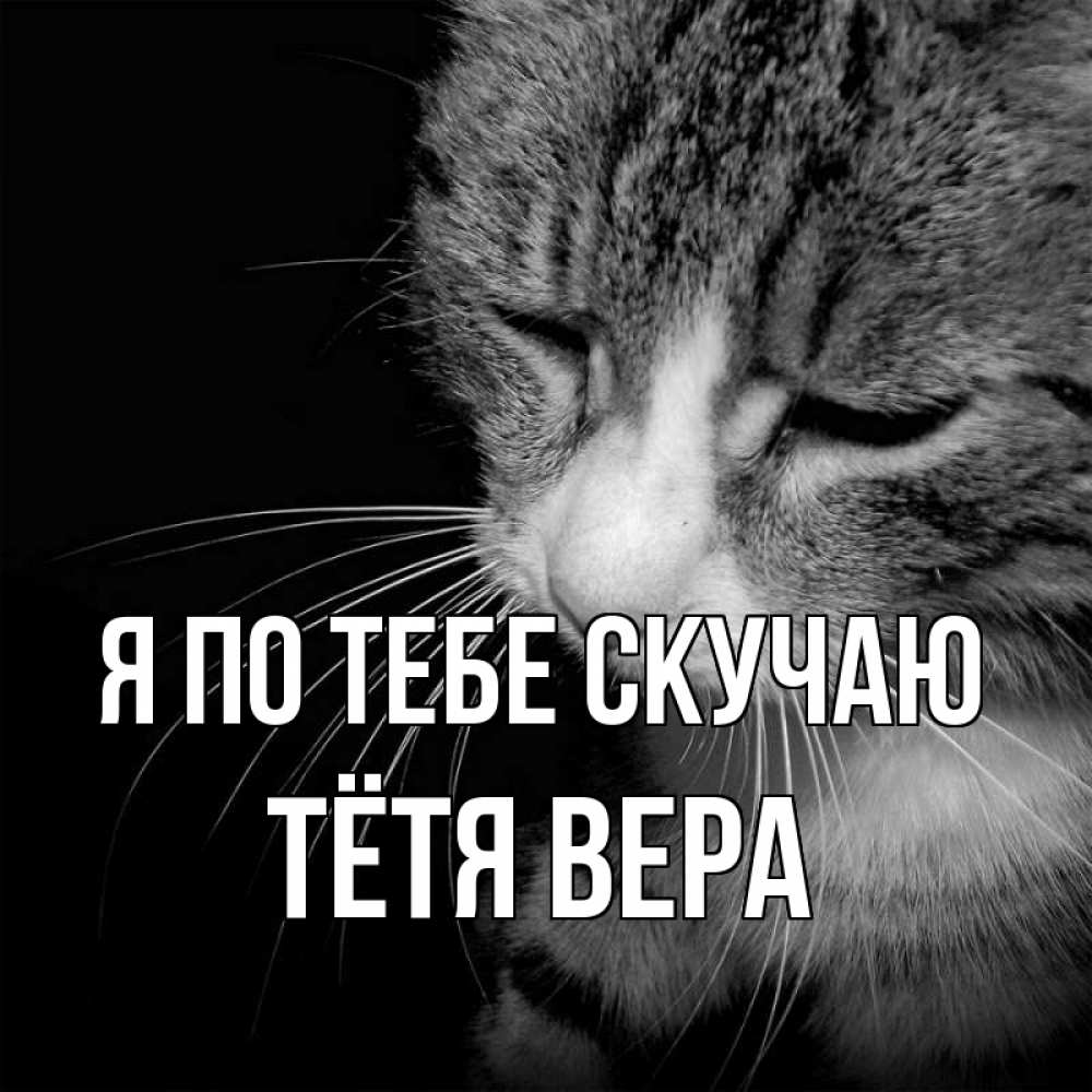 Открытка на каждый день с именем, Тётя-Вера Я по тебе скучаю мне скучно Прикольная открытка с пожеланием онлайн скачать бесплатно 