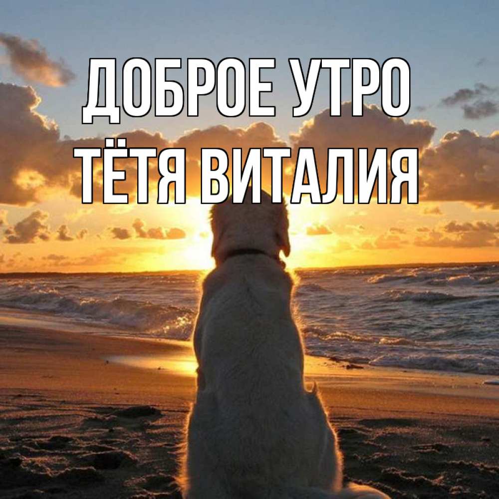 Открытка на каждый день с именем, Тётя-Виталия Доброе утро восход солнца Прикольная открытка с пожеланием онлайн скачать бесплатно 
