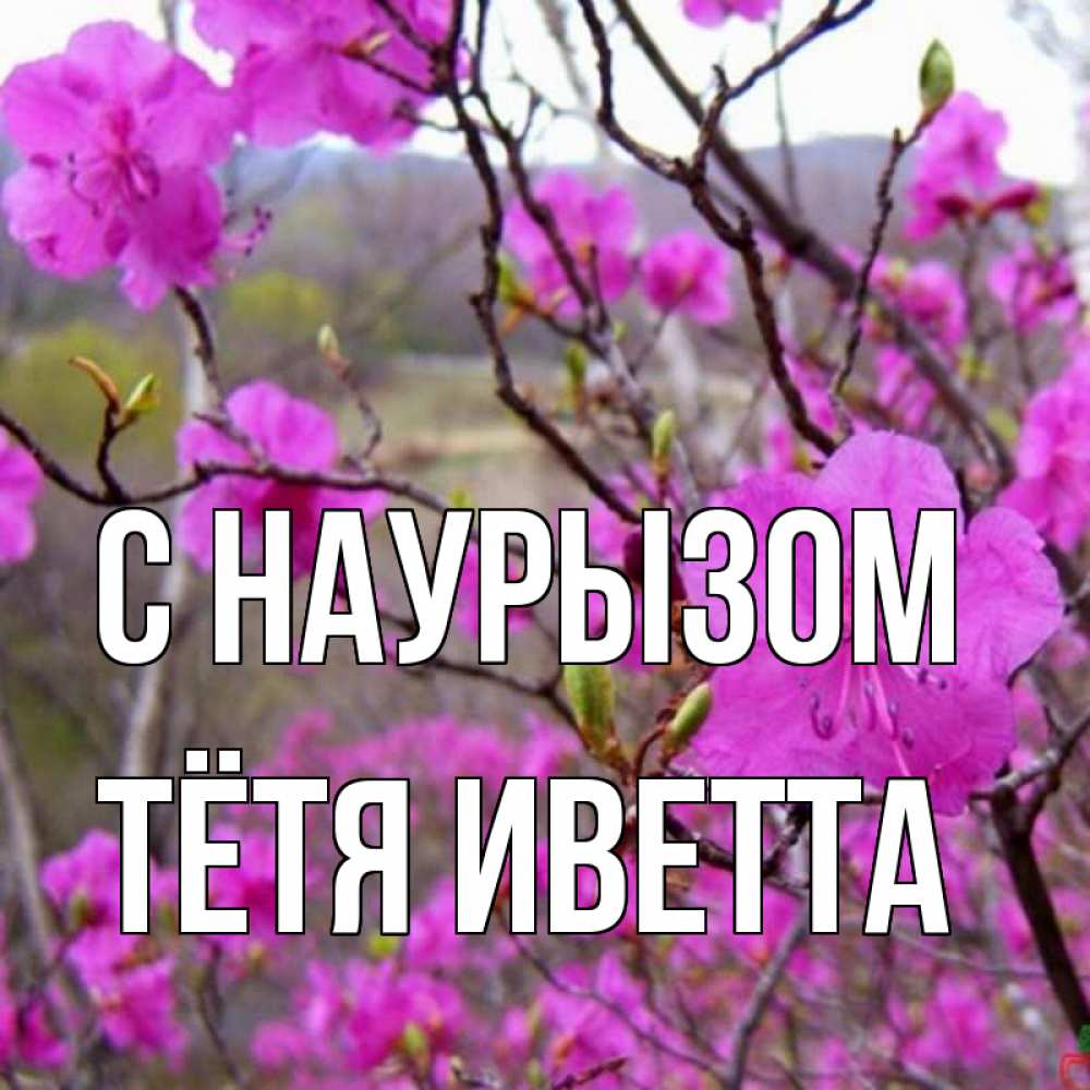 Открытка на каждый день с именем, Тётя-Иветта С наурызом праздник весны наурыз Прикольная открытка с пожеланием онлайн скачать бесплатно 