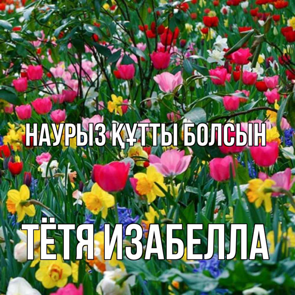 Открытка на каждый день с именем, Тётя-Изабелла Наурыз құтты болсын с наурызом поздравления для женщины Прикольная открытка с пожеланием онлайн скачать бесплатно 