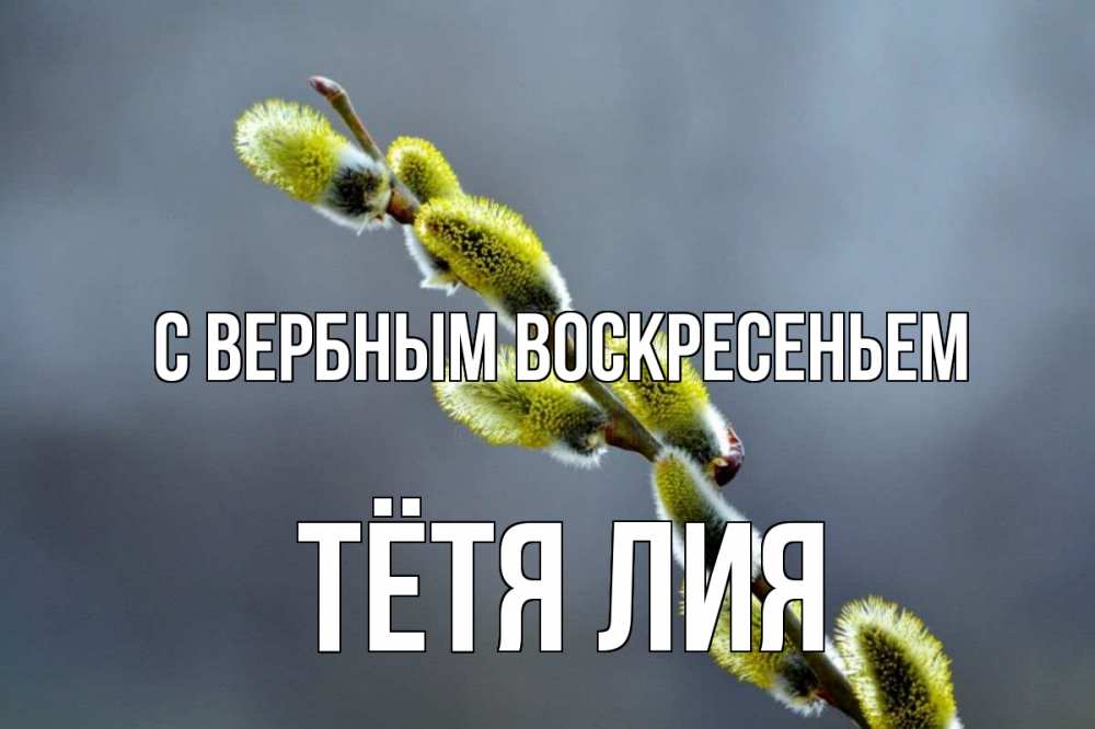 Открытка на каждый день с именем, Тётя-Лия С вербным воскресеньем верба Прикольная открытка с пожеланием онлайн скачать бесплатно 