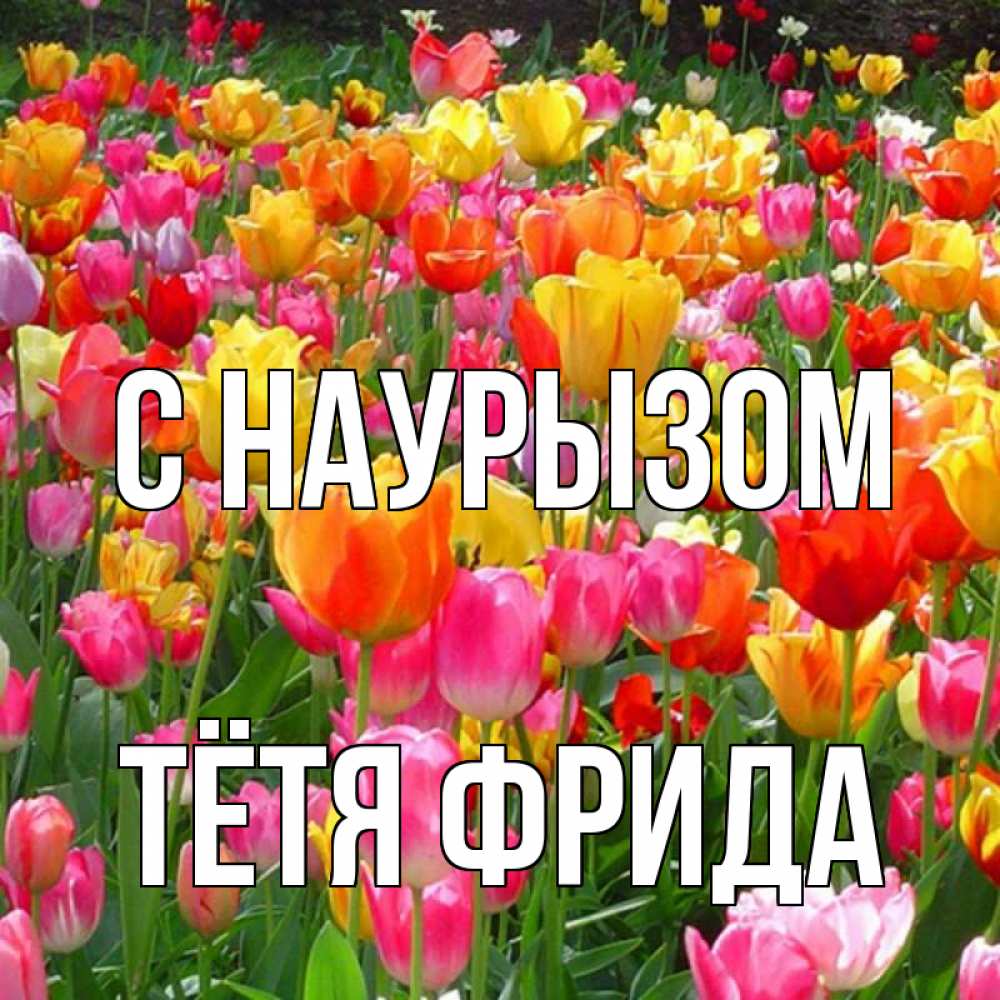 Открытка на каждый день с именем, Тётя-Фрида С наурызом праздник весны наурыз 4 Прикольная открытка с пожеланием онлайн скачать бесплатно 
