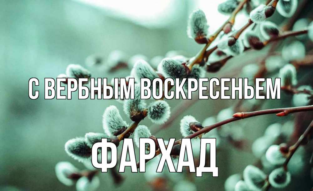 Открытка на каждый день с именем, Фархад С вербным воскресеньем верба Прикольная открытка с пожеланием онлайн скачать бесплатно 