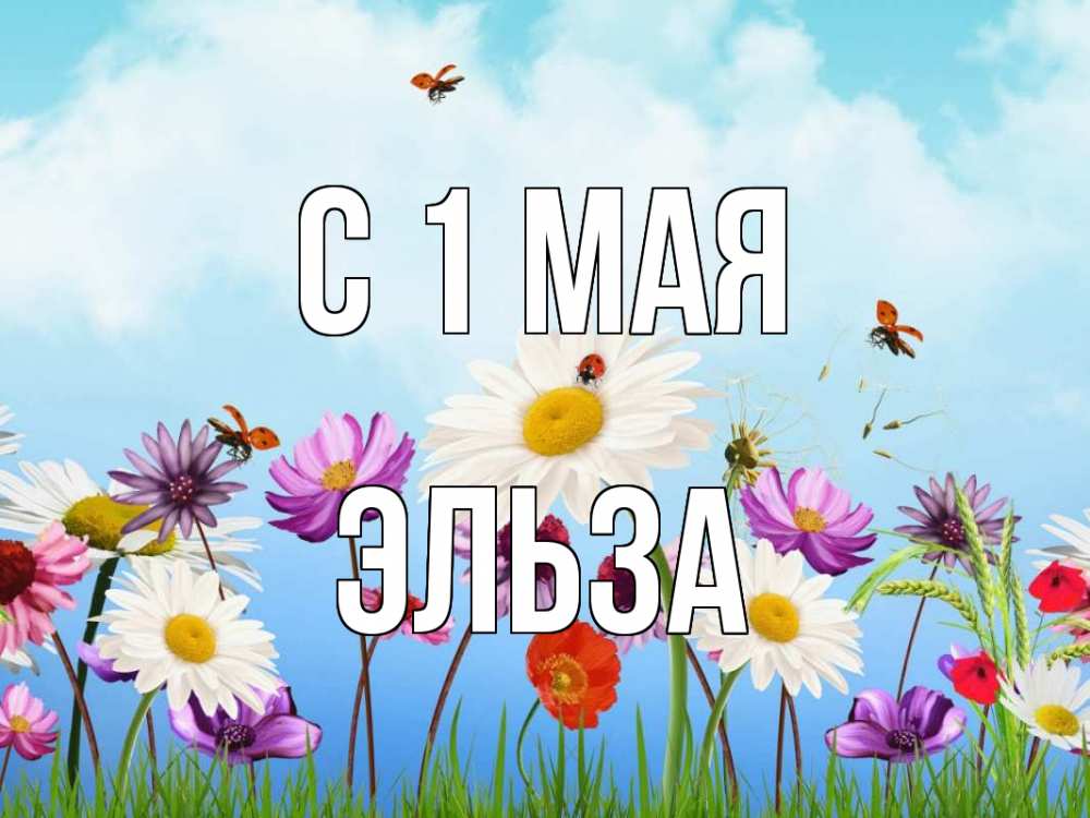 Открытка на каждый день с именем, Эльза С 1 мая С 1 мая Прикольная открытка с пожеланием онлайн скачать бесплатно 