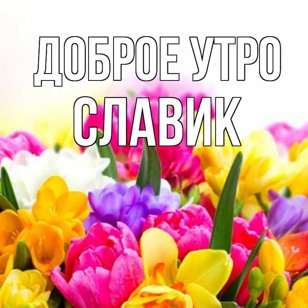 Доброе утро славик картинки
