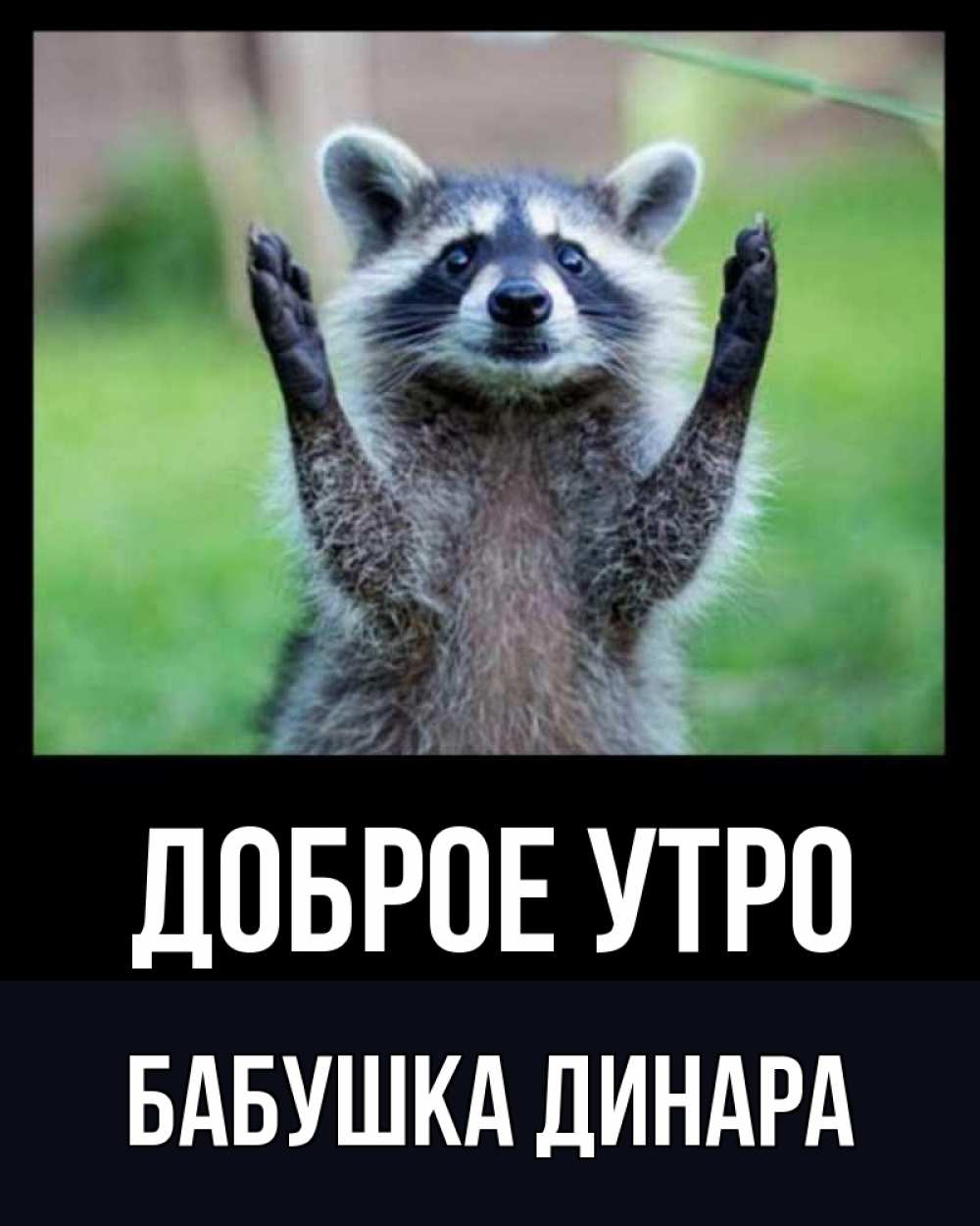 Открытка на каждый день с именем, Бабушка-Динара Доброе утро хорошее настроение утречком Прикольная открытка с пожеланием онлайн скачать бесплатно 