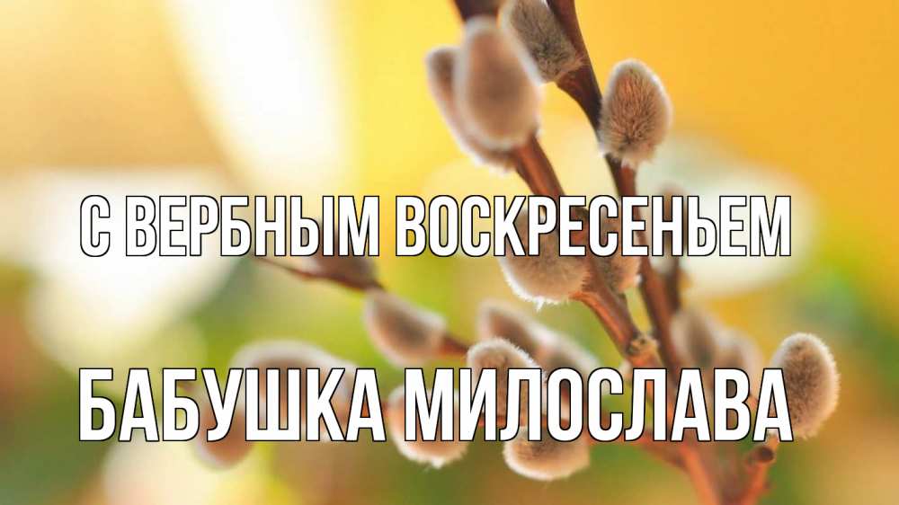 Открытка на каждый день с именем, Бабушка-Милослава С вербным воскресеньем верба 1 Прикольная открытка с пожеланием онлайн скачать бесплатно 