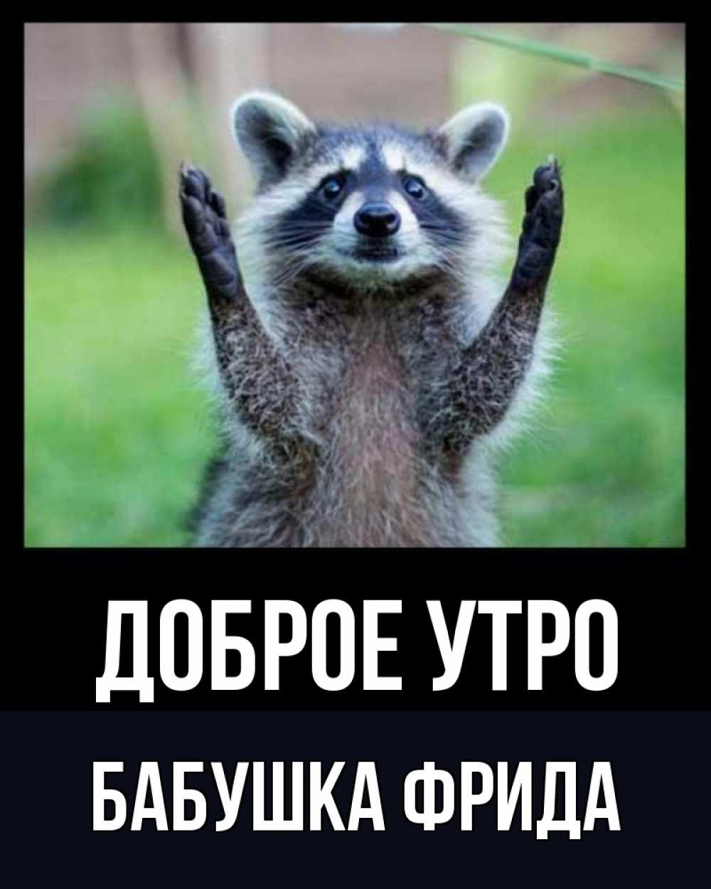 Открытка на каждый день с именем, Бабушка-Фрида Доброе утро хорошее настроение утречком Прикольная открытка с пожеланием онлайн скачать бесплатно 